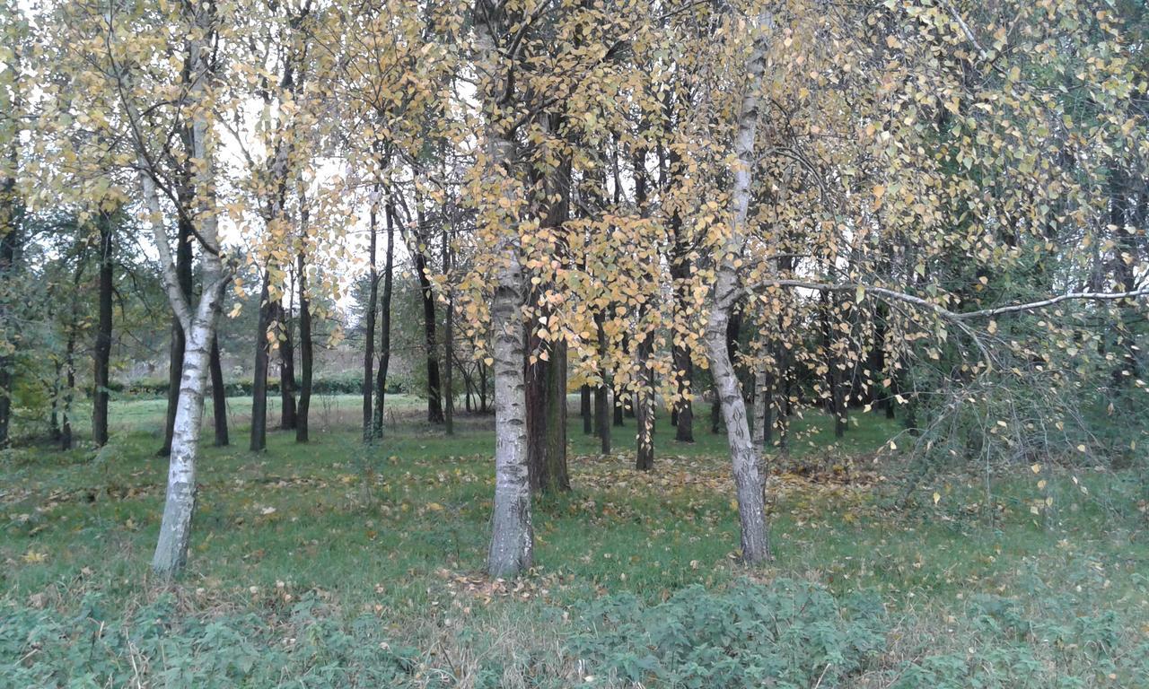 Bed and Breakfast Dvorac Fantast Becej Экстерьер фото