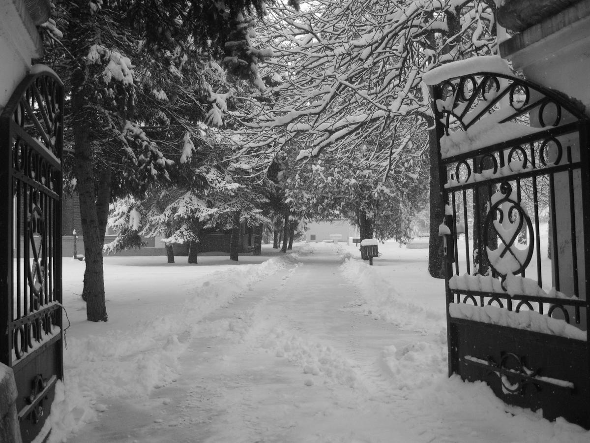 Bed and Breakfast Dvorac Fantast Becej Экстерьер фото