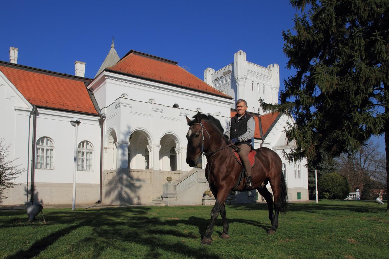 Bed and Breakfast Dvorac Fantast Becej Экстерьер фото